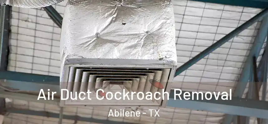 Air Duct Cockroach Removal Abilene - TX