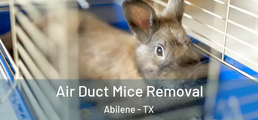 Air Duct Mice Removal Abilene - TX