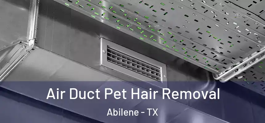 Air Duct Pet Hair Removal Abilene - TX