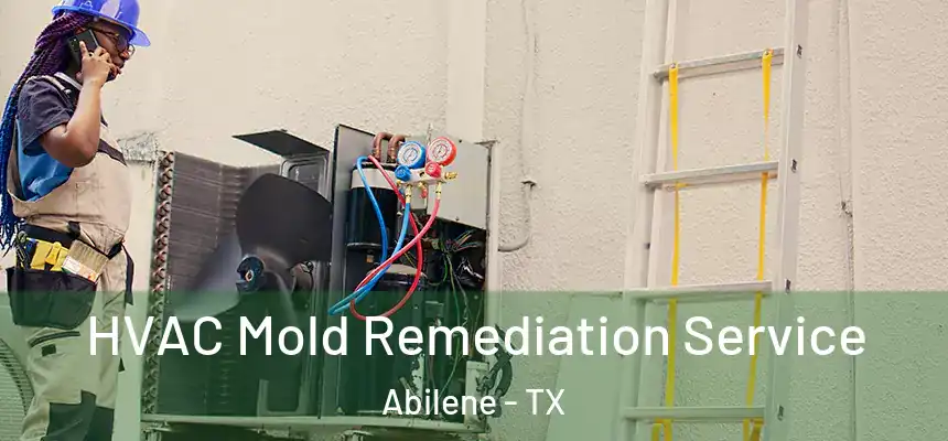 HVAC Mold Remediation Service Abilene - TX