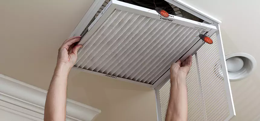 Our Insect Removal from Air Ducts Services in Abilene, TX