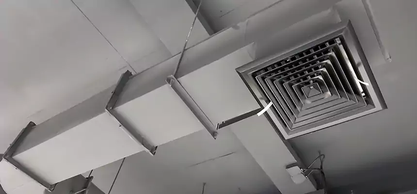 Our Pest Removal From Ducts Services in Abilene, TX