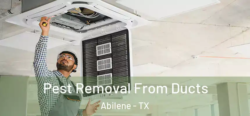Pest Removal From Ducts Abilene - TX