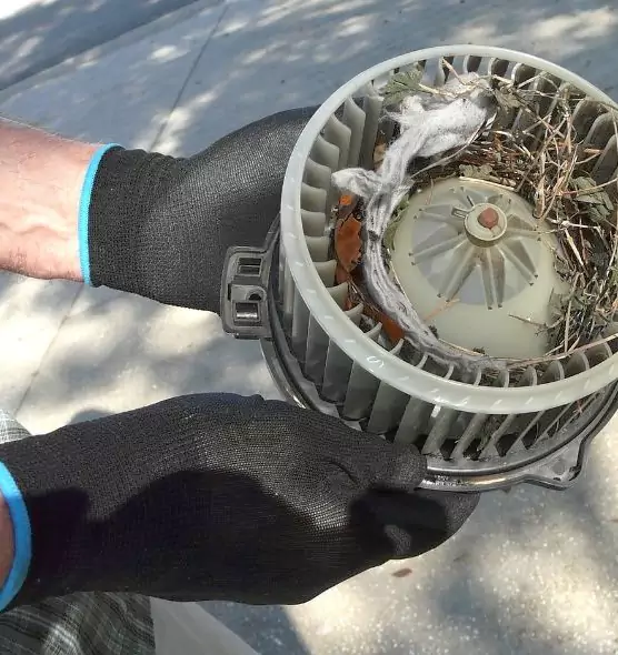 About Air Duct Mice Removal in Abilene, TX