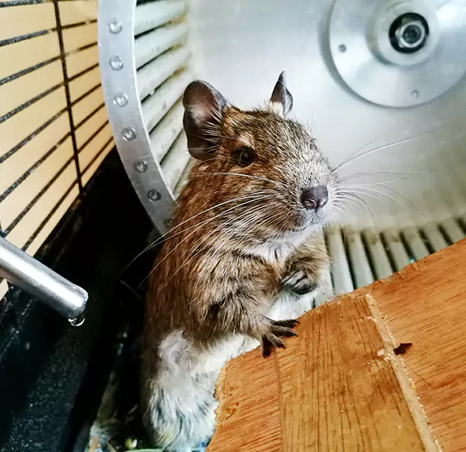 Why Homeowners & Businesses Trust Us Abilene, TX